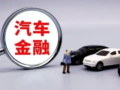 左贡押车贷款不是本人可以么?
